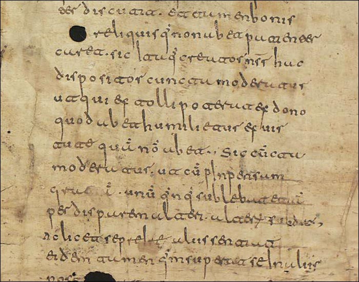 2018_11_16_Collection codexXIV_frag24