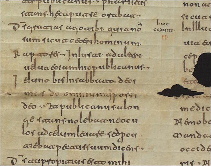 2018_11_16_Collection codexXIV_frag5-6