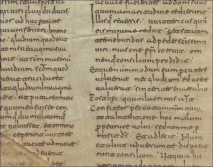 2018_11_16_Collection codexXIV_frag9