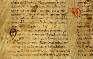 There are no books… Galician Visigothic script codices