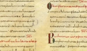 Codicology: Pricking, Visigothic script style