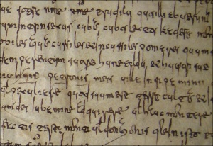 Writing in cursive and minuscule script: polygraphism in medieval Galicia